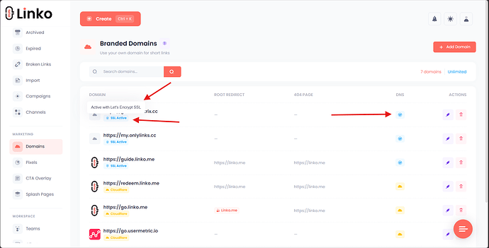 Domain and SSL Status at Linko Domain Page