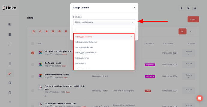 Assigning a domain