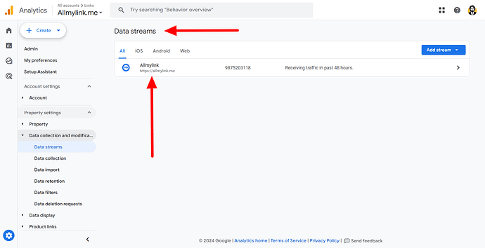 Google Analytics data streams