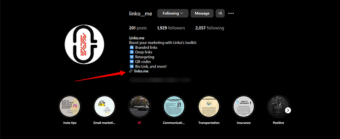 Linko's Instagram Profile