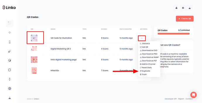 Duplicate QR Code